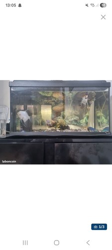 Aquarium 55l complet - aquarium,