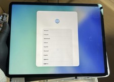 Ori Original Apple Ipad Pro