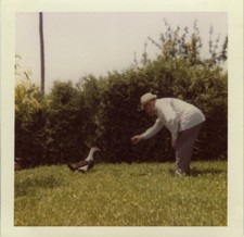 PHOTO ANCIENNE - VINTAGE