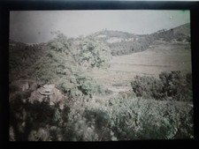 AUTOCHROME - Paysage panoramique du sud de la France  - vers 1915 