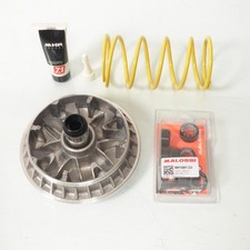 Variateur Malossi pour Scooter