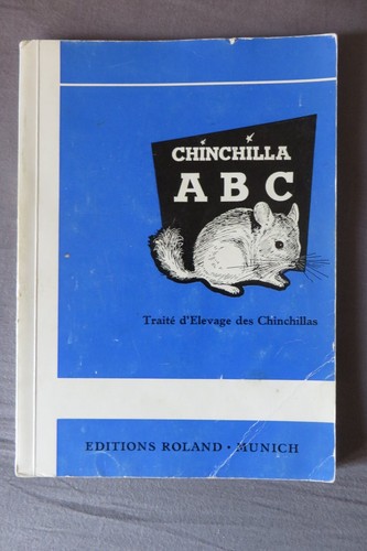 Chinchilla traité - chinchilla,
