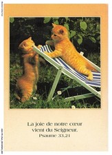 ASHP4-0210-CAT - TWO KITTENS OF THE SAME COLOR AND A BEACH CHAIR
