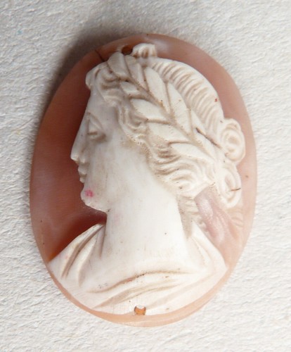 Camée sur coquille 19e