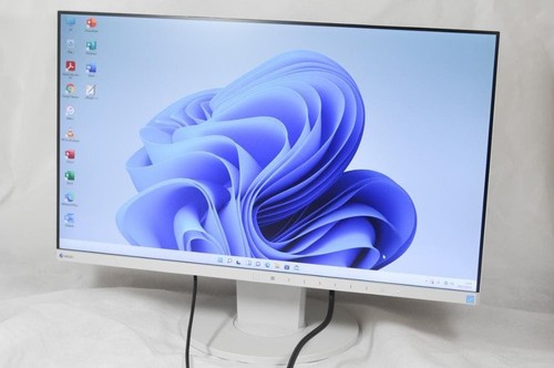Moniteur eizo flexscan - moniteur,