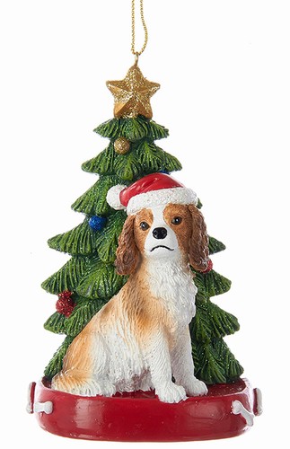 Cavalier king charles - king,