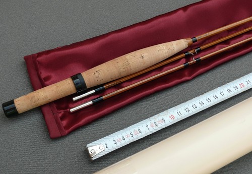 Pêche 69g canne - 6'8p,