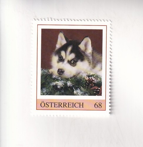 Timbre autriche chien - timbre, de