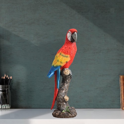 Statue perroquet en - de,