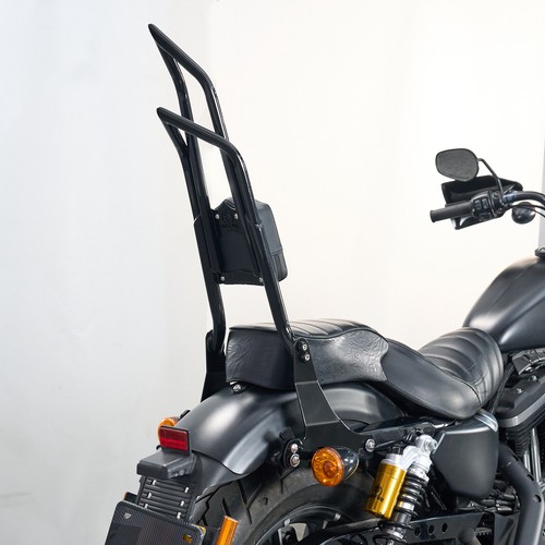 Detachable backrest sissy - backrest,