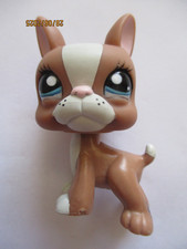 PETSHOP DOG BOSTON TERRIER N°1380