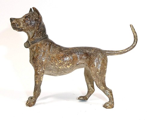 Chien dogue bordeaux kor - dogue, kor-12