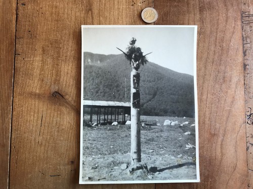 Photographie ancienne scout - photographie, de