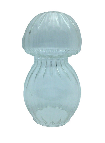 Champignon verre optique