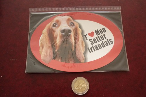 Grand magnet chien setter - magnet,