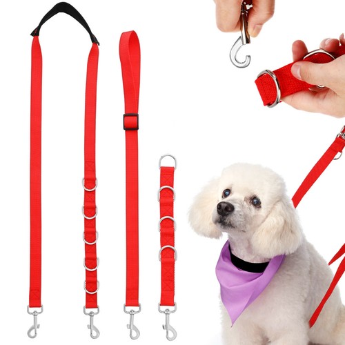 Laisse chien corde - laisse,