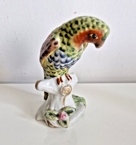 Peroquet perruche - , en
