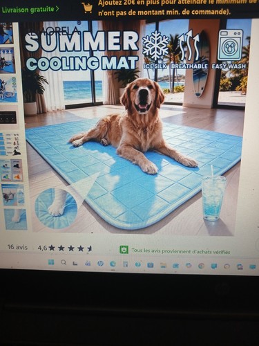 Tapis rafraichissante pour