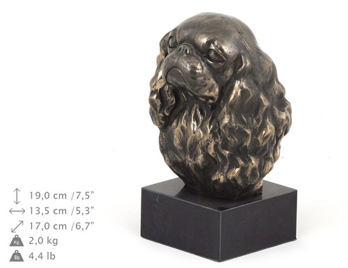 Cavalier king charles - cavalier,