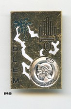 Legion insignia, 1/1 Rgt. Cavalry Foreigner / DLEM.  