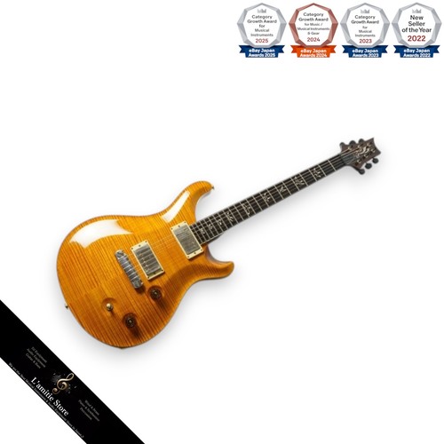Guitare électrique prs paul - guitare,