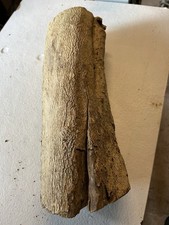 Bois de buis tournage