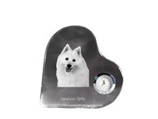 Japonais Spitz - Montre En