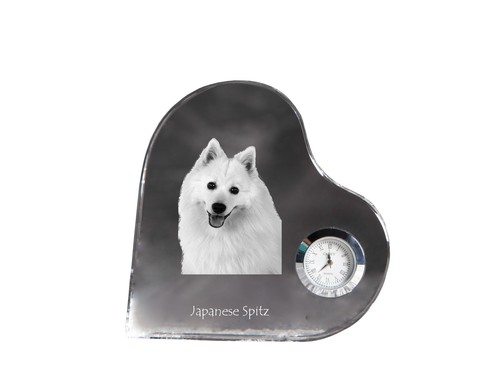Japonais spitz montre en - japonais,