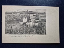 Lyme,CT. Landing a Load of Salt Hay - 1900s Postcard