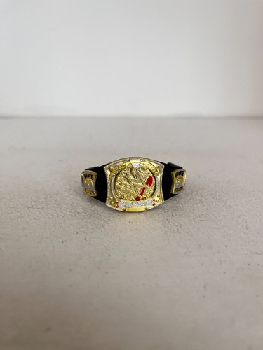 Wwe centrifugeuse championnat - centrifugeuse,