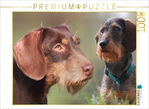 Puzzle calvendo race - puzzle,