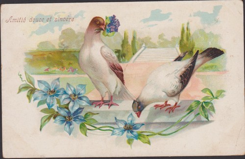Carte postale fantaisie - postale,