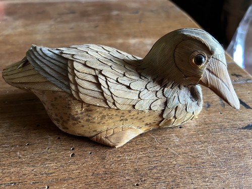 Canard bois - canard,