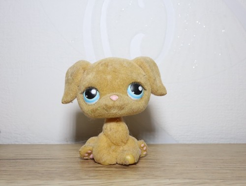 Littlest petshop golden - petshop,