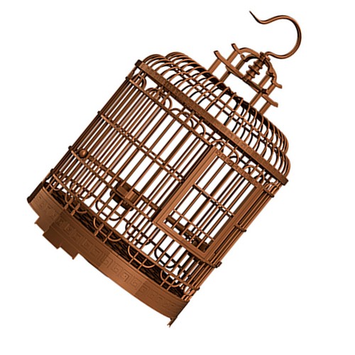 Cage oiseau decorative - cage,