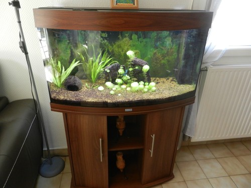 Aquarium juwel vision - juwel,