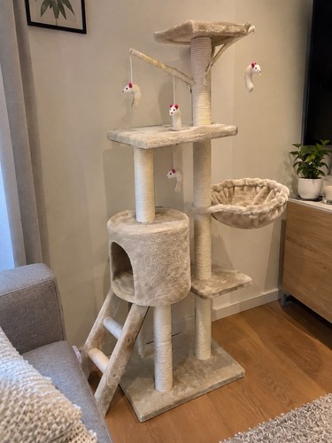 Arbre chat beige - à,