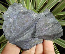 Schiste noir pyriteux irisé 9.5x7cm à identifier minéral collection ancienne