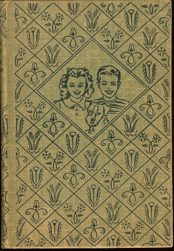 The bobbsey twins - the,