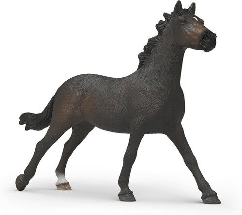 Horse club 14914 - horse,