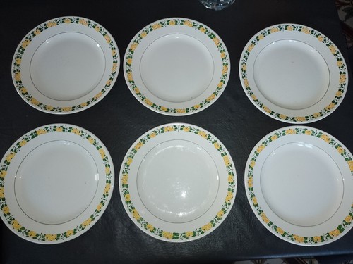 Lot assiettes plates - 6,