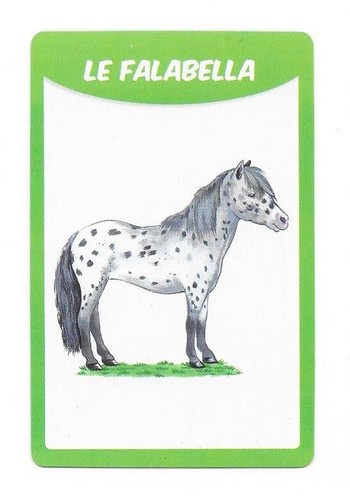 Carte races chevaux - carte, le