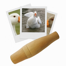 Appeau - Oiseau - Oie - Chant