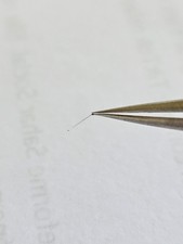 Friction Spring For