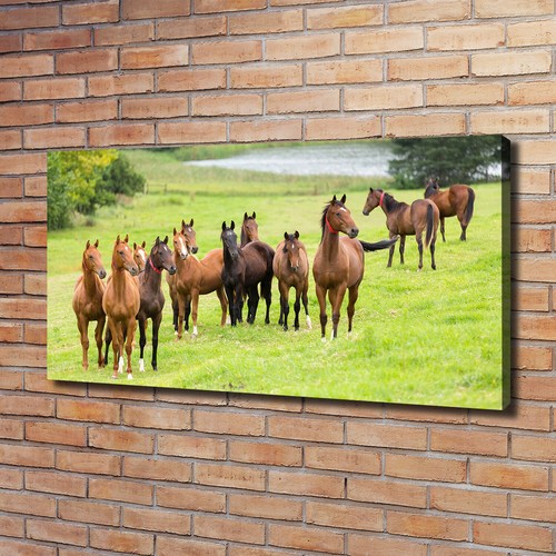 Tulup image sur - sur, tableau