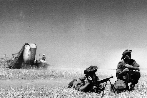 Guerre algérie la - la, moisson