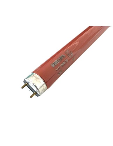 Ampoule tube néon - ampoule,