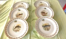 6 Assiettes  Porcelaine décor différents poissons