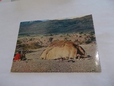 AFRIQUE DJIBOUTI LA TENTE