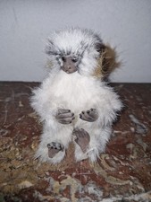 DOLLS POUPEE ASHTON DRAKE